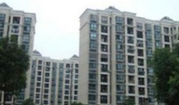 浦东新高苑最新爆料信息,揭秘神秘豪宅背后的故事